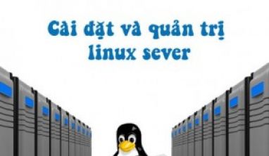 Tuyển gấp Nhân viên quản lý mạng server tháng 06/2016