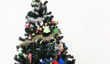 Tôi thấy Noel “gõ cửa” Viet Solution