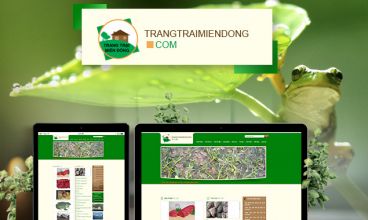 Thiết kế website - Thiết kế web Trang trại miền đông